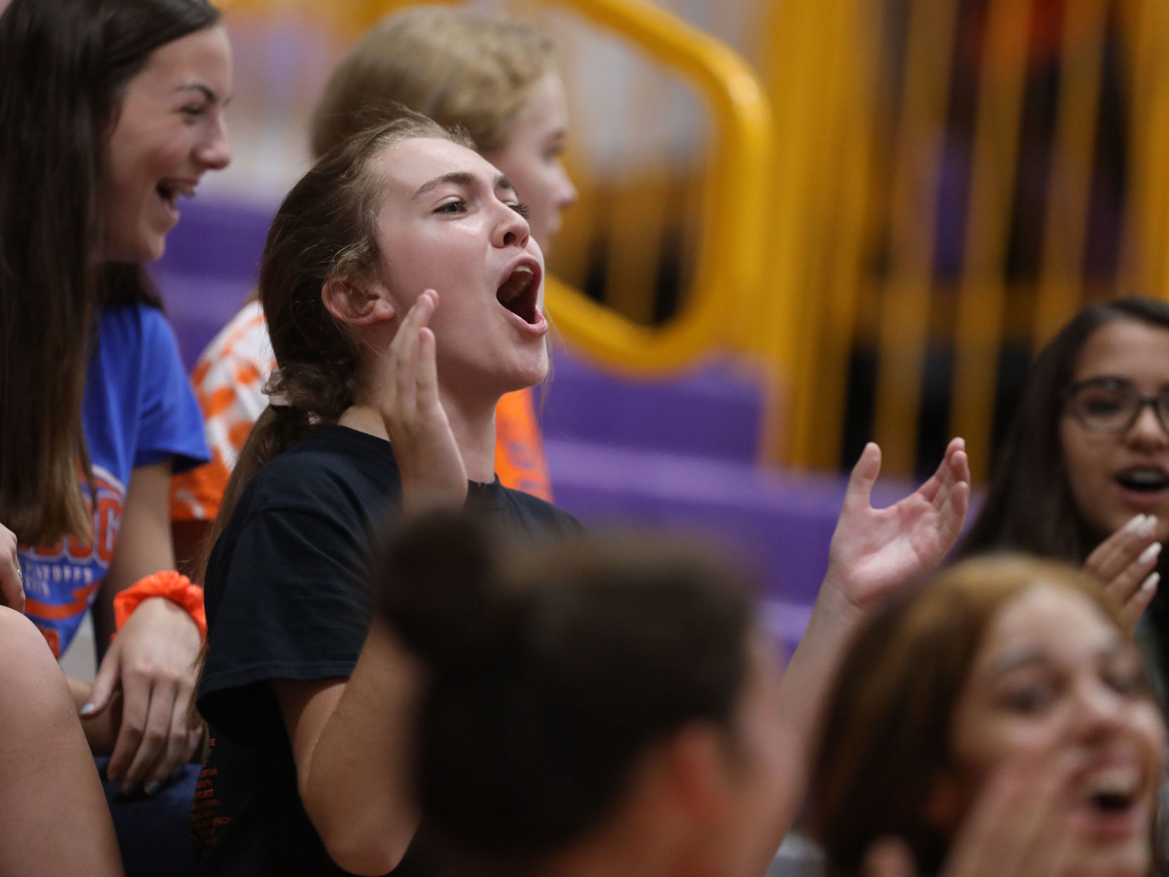 FBP Mt Pulaski vs St Teresa volleyball 7 9.11.18.jpg